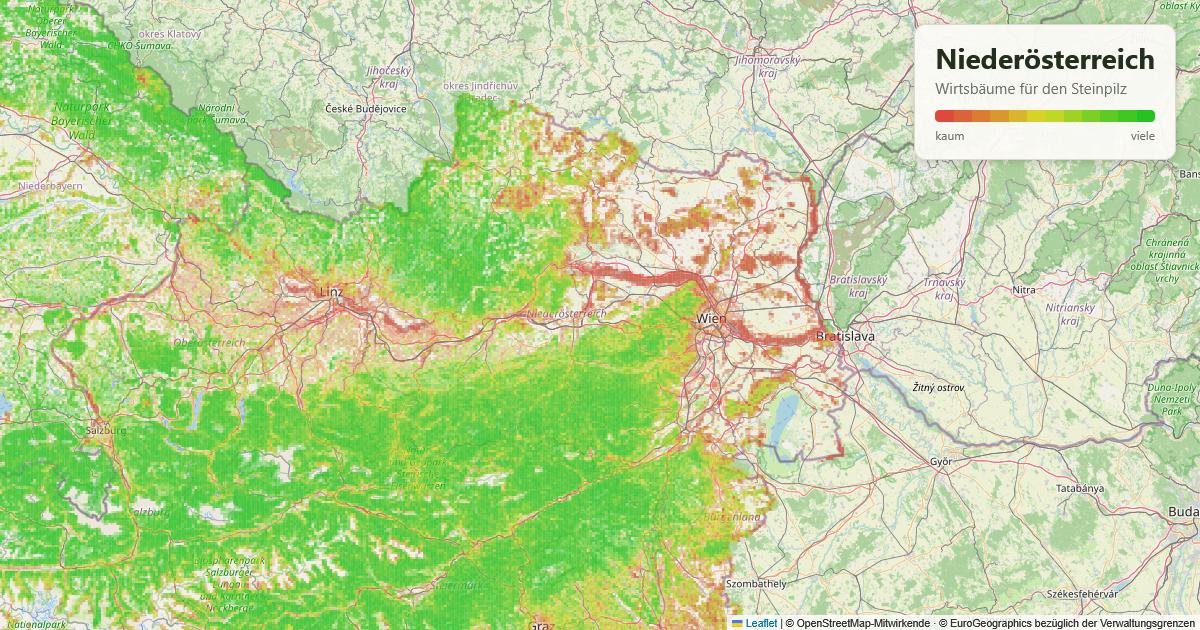 Karte: Wirtsbäume für den Steinpilz in Niederösterreich
