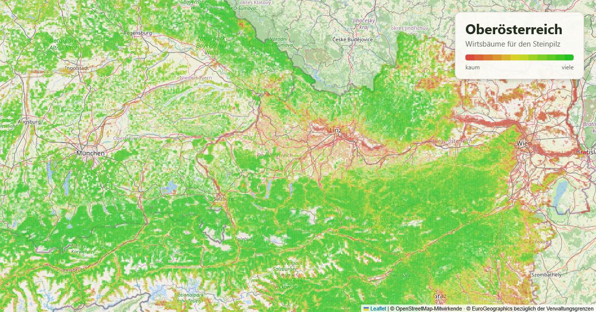 Karte: Wirtsbäume für den Steinpilz in Oberösterreich