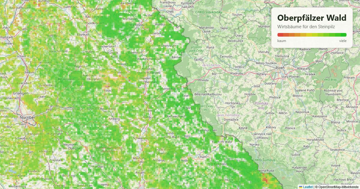 Karte: Wirtsbäume für den Steinpilz im Oberpfälzer Wald
