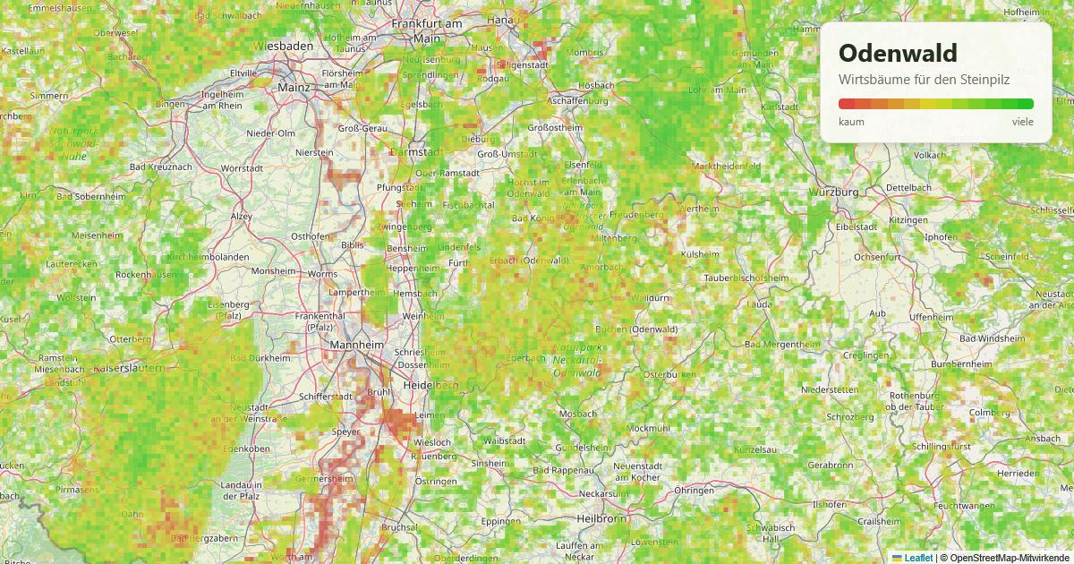 Karte: Wirtsbäume für den Steinpilz im Odenwald