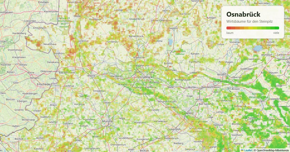 Karte: Wirtsbäume für den Steinpilz rund um Osnabrück