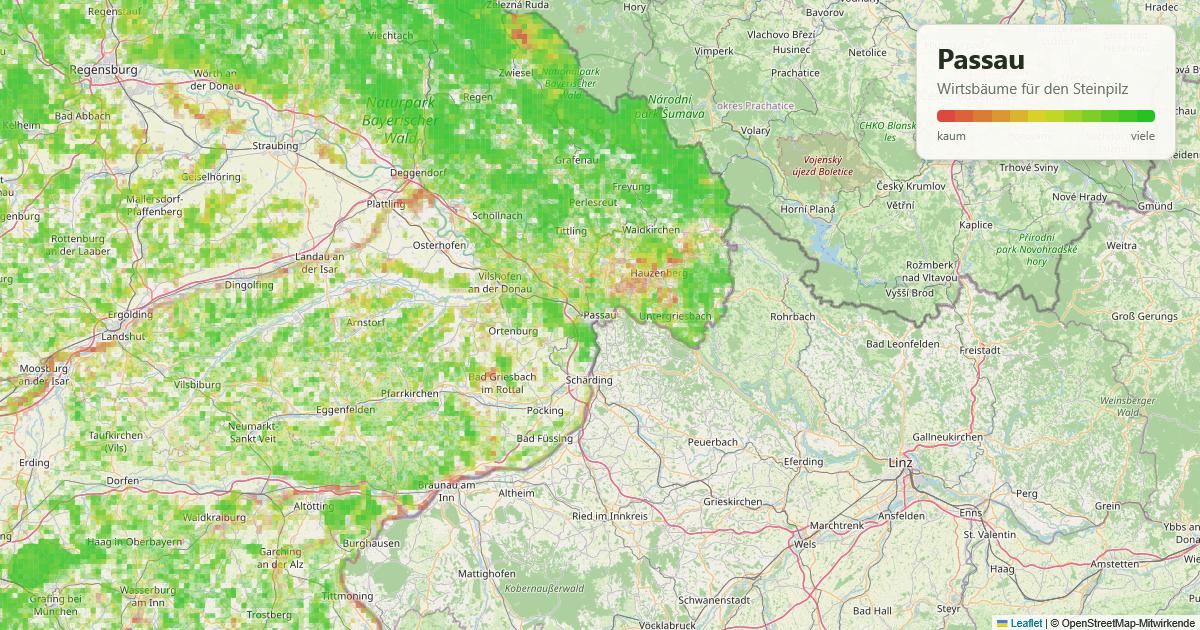 Karte: Wirtsbäume für den Steinpilz rund um Passau