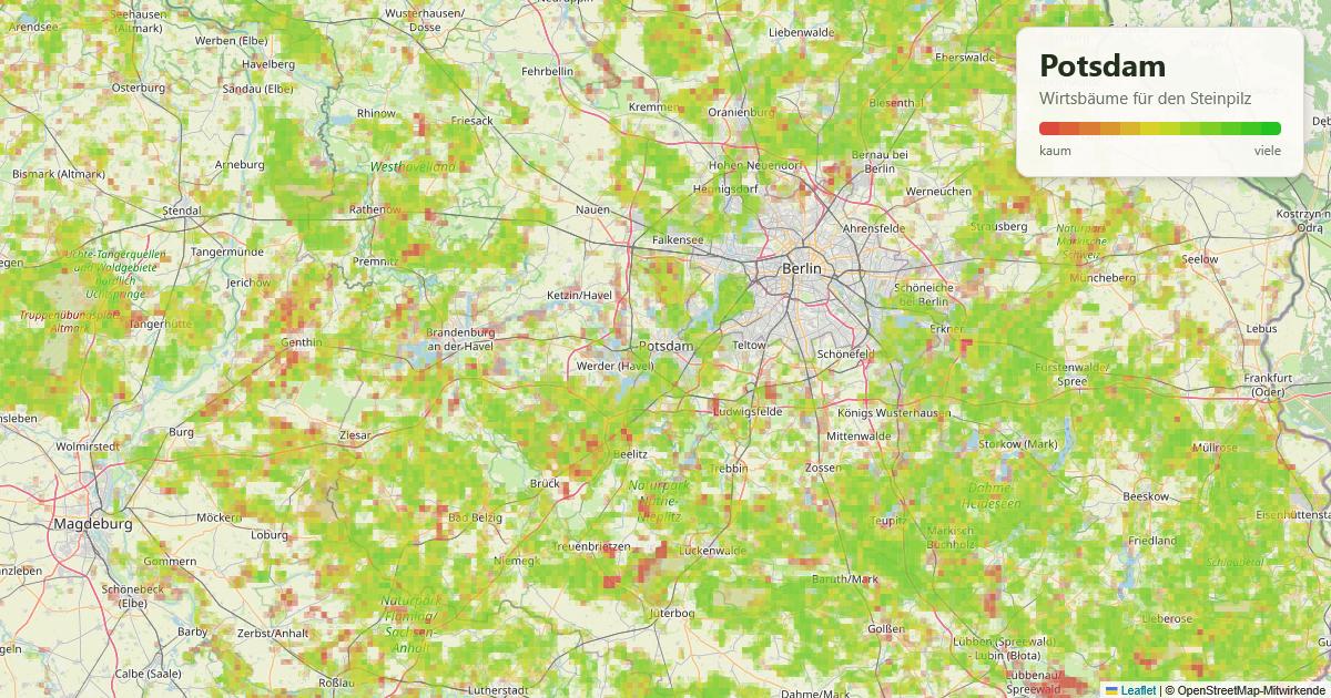 Karte: Wirtsbäume für den Steinpilz rund um Potsdam
