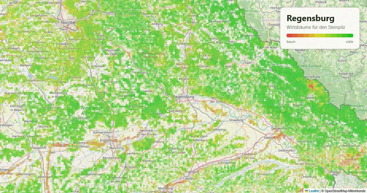 Karte: Wirtsbäume für den Steinpilz rund um Regensburg