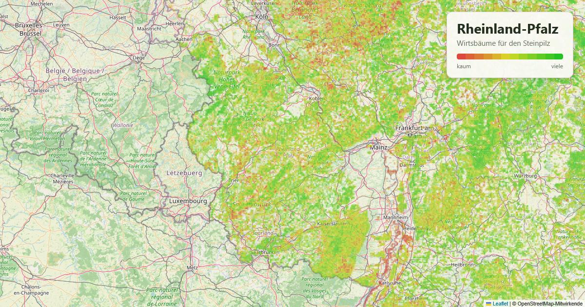 Karte: Wirtsbäume für den Steinpilz in Rheinland-Pfalz