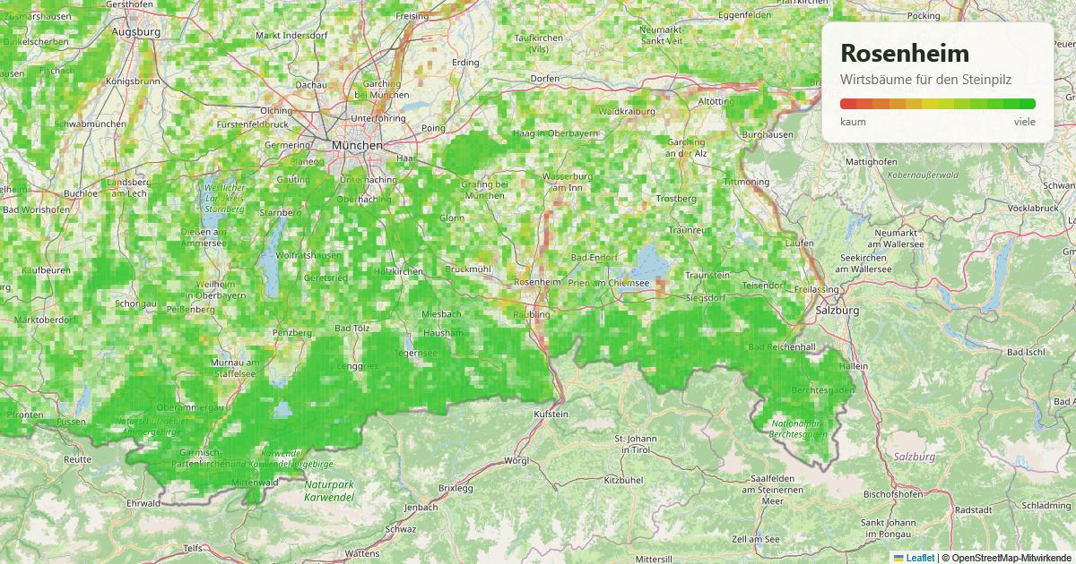 Karte: Wirtsbäume für den Steinpilz rund um Rosenheim