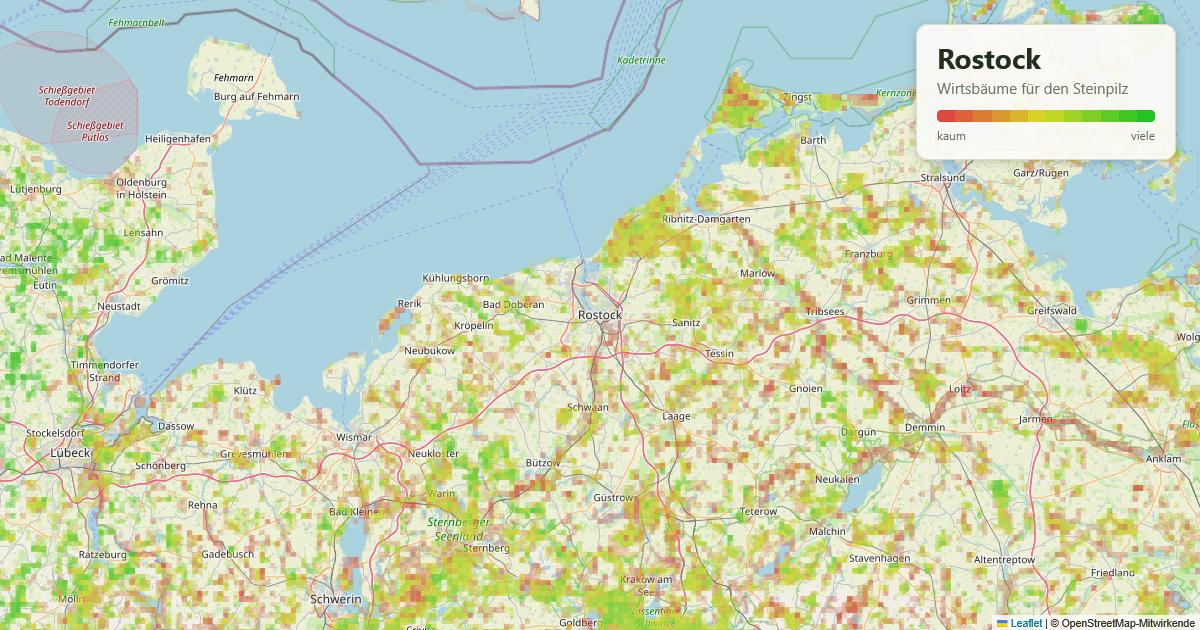 Karte: Wirtsbäume für den Steinpilz rund um Rostock