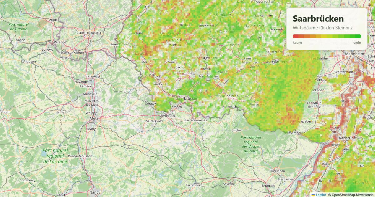 Karte: Wirtsbäume für den Steinpilz rund um Saarbrücken