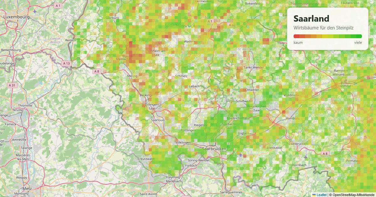 Karte: Wirtsbäume für den Steinpilz im Saarland