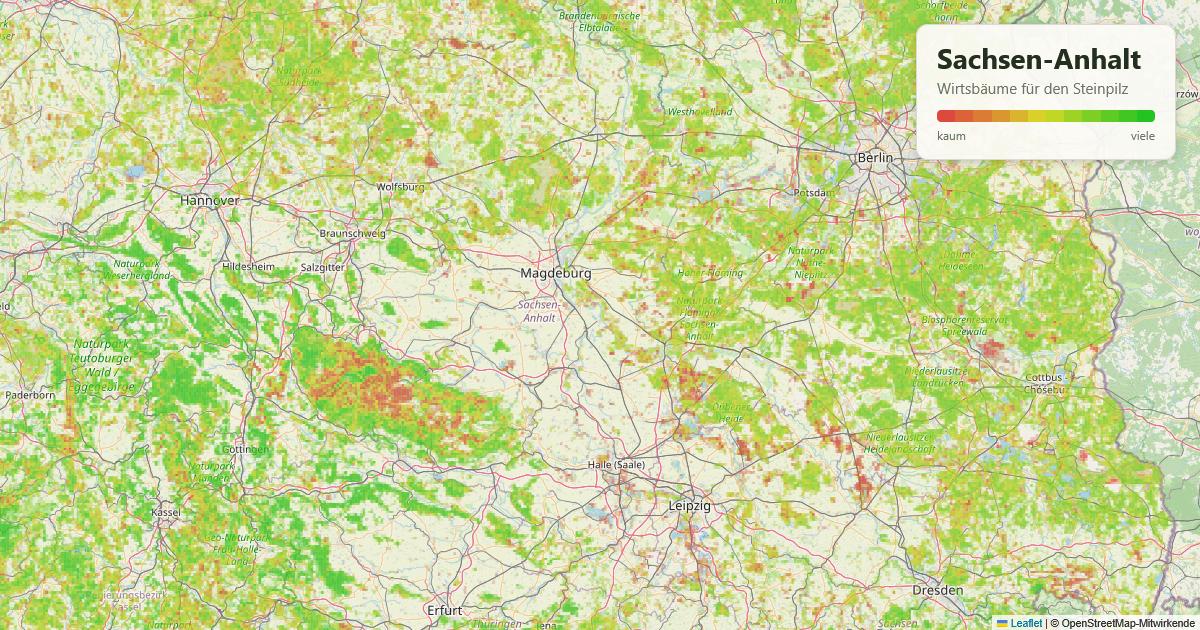 Karte: Wirtsbäume für den Steinpilz in Sachsen-Anhalt