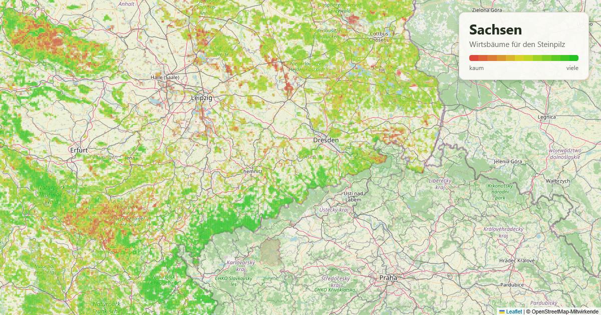 Karte: Wirtsbäume für den Steinpilz in Sachsen