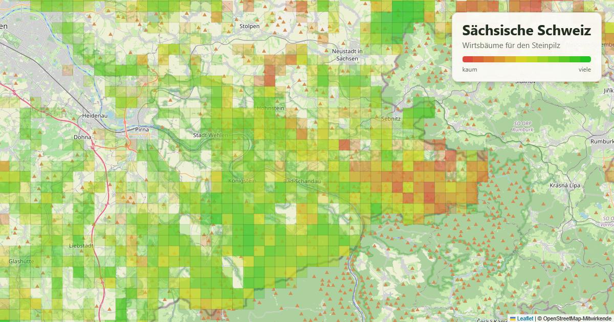 Karte: Wirtsbäume für den Steinpilz in der Sächsischen Schweiz