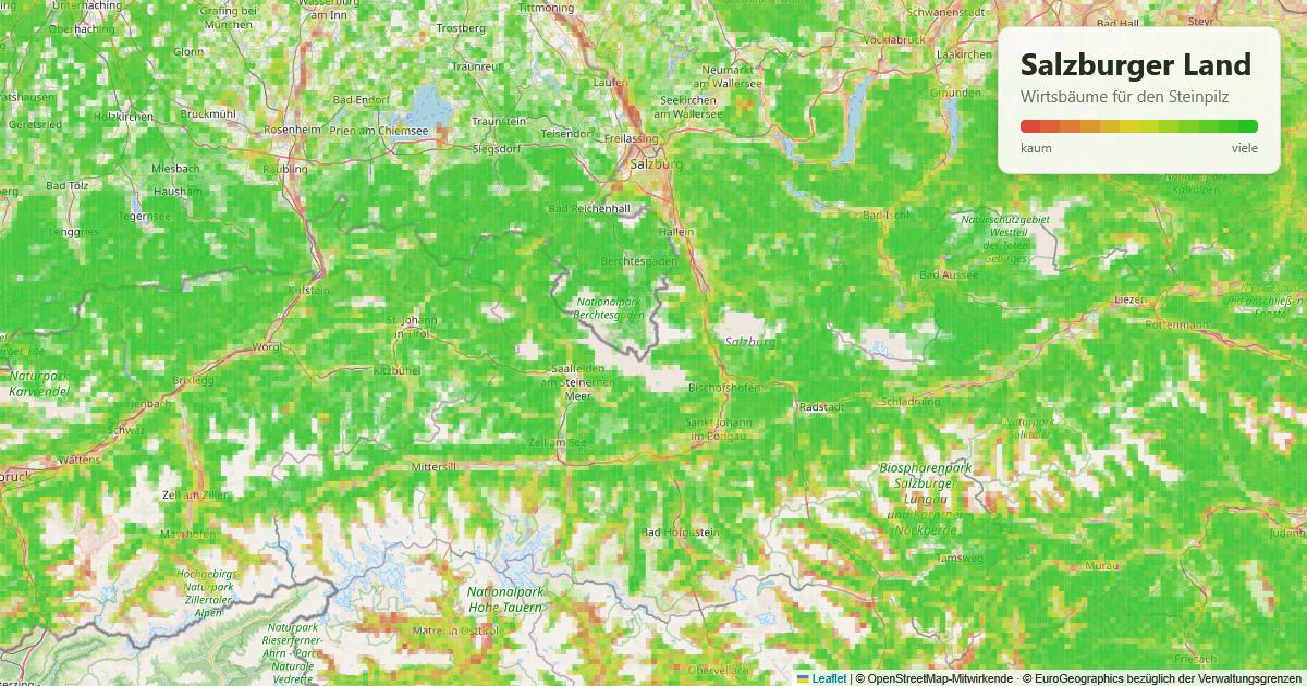 Karte: Wirtsbäume für den Steinpilz im Salzburger Land