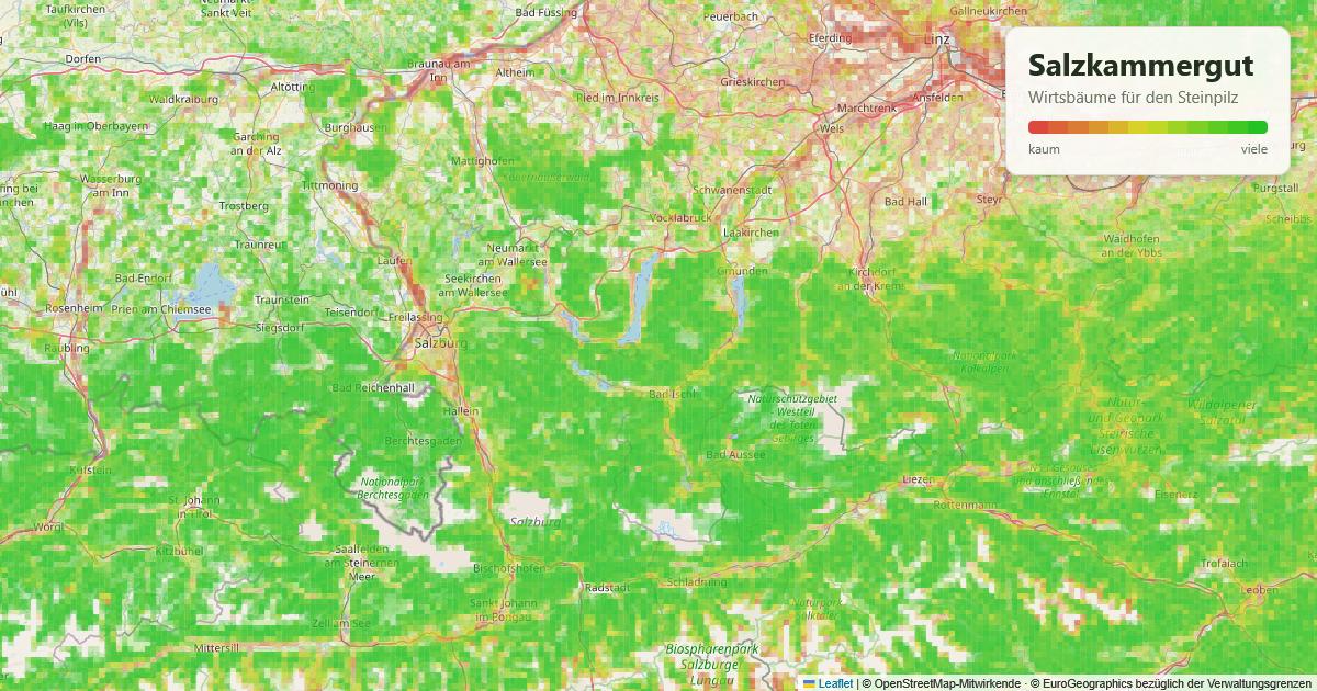 Karte: Wirtsbäume für den Steinpilz im Salzkammergut