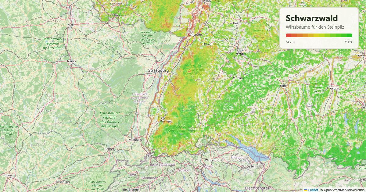 Karte: Wirtsbäume für den Steinpilz im Schwarzwald