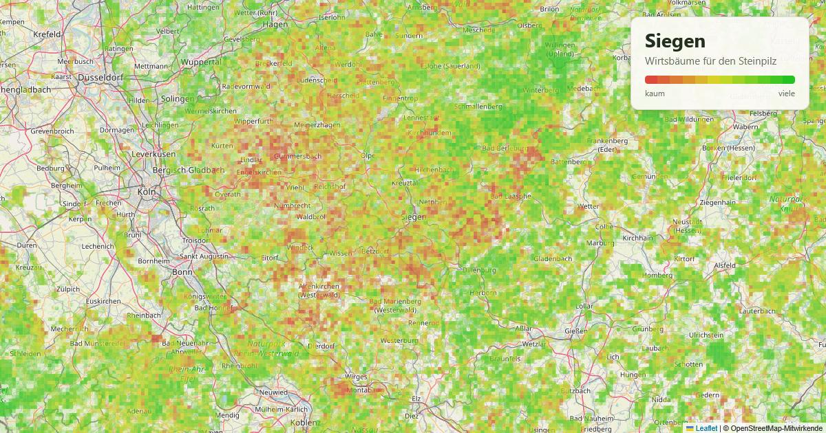 Karte: Wirtsbäume für den Steinpilz rund um Siegen