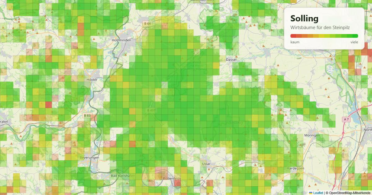 Karte: Wirtsbäume für den Steinpilz im Solling