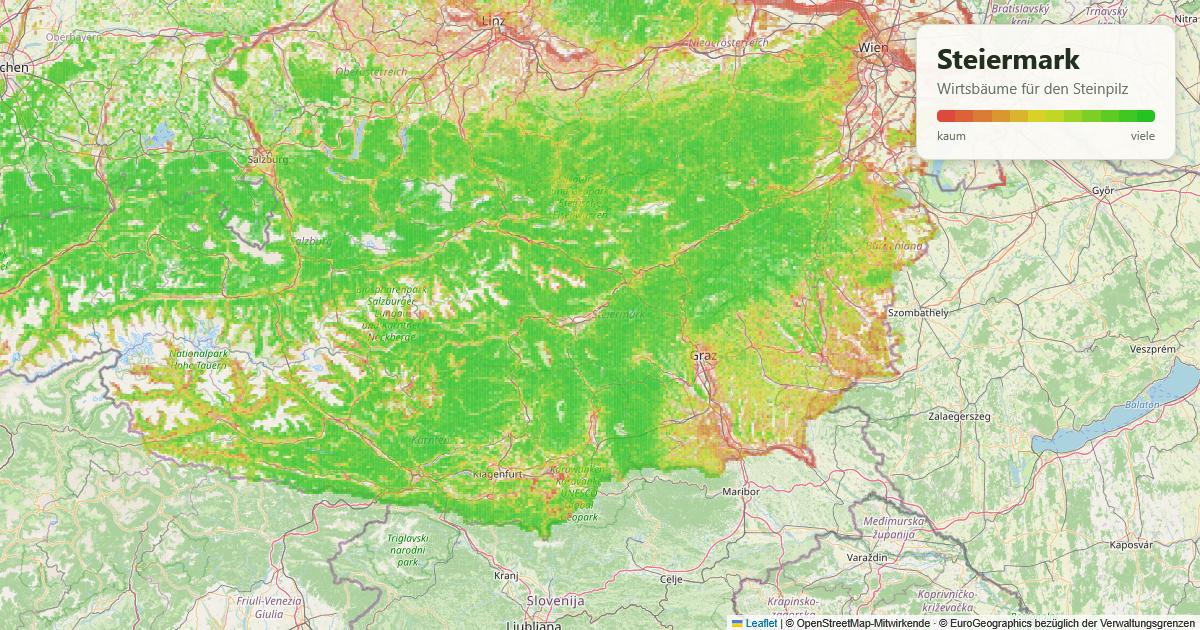 Karte: Wirtsbäume für den Steinpilz in der Steiermark