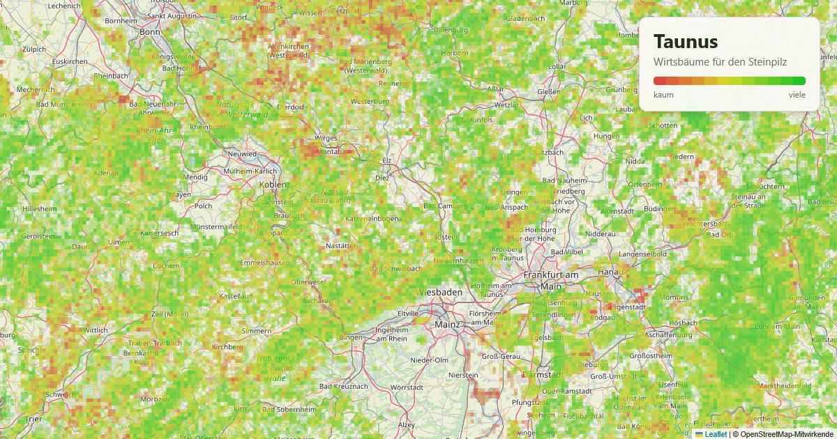 Karte: Wirtsbäume für den Steinpilz im Taunus