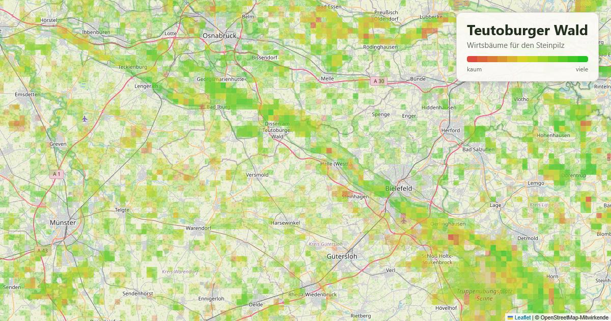 Karte: Wirtsbäume für den Steinpilz im Teutoburger Wald