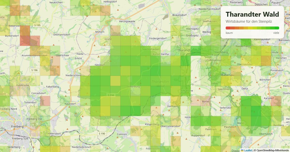 Karte: Wirtsbäume für den Steinpilz im Tharandter Wald