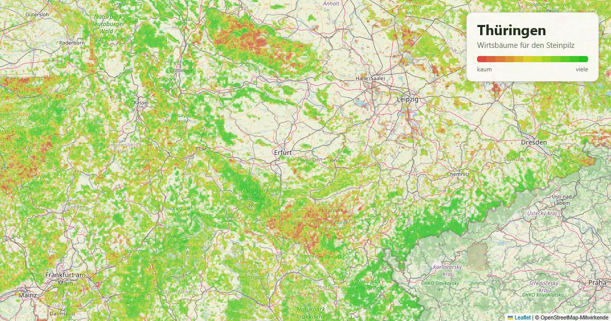 Karte: Wirtsbäume für den Steinpilz in Thüringen