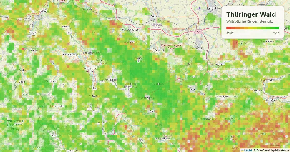 Karte: Wirtsbäume für den Steinpilz im Thüringer Wald