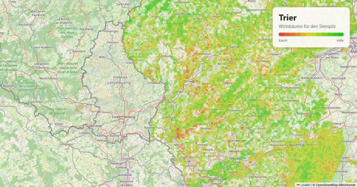 Karte: Wirtsbäume für den Steinpilz rund um Trier