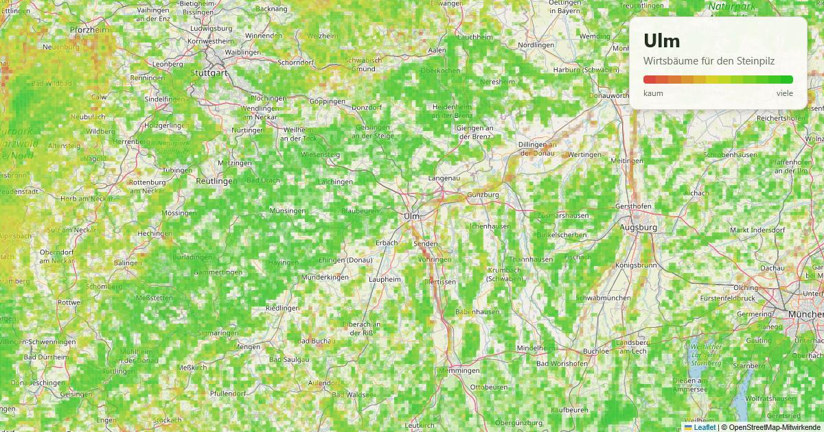 Karte: Wirtsbäume für den Steinpilz rund um Ulm