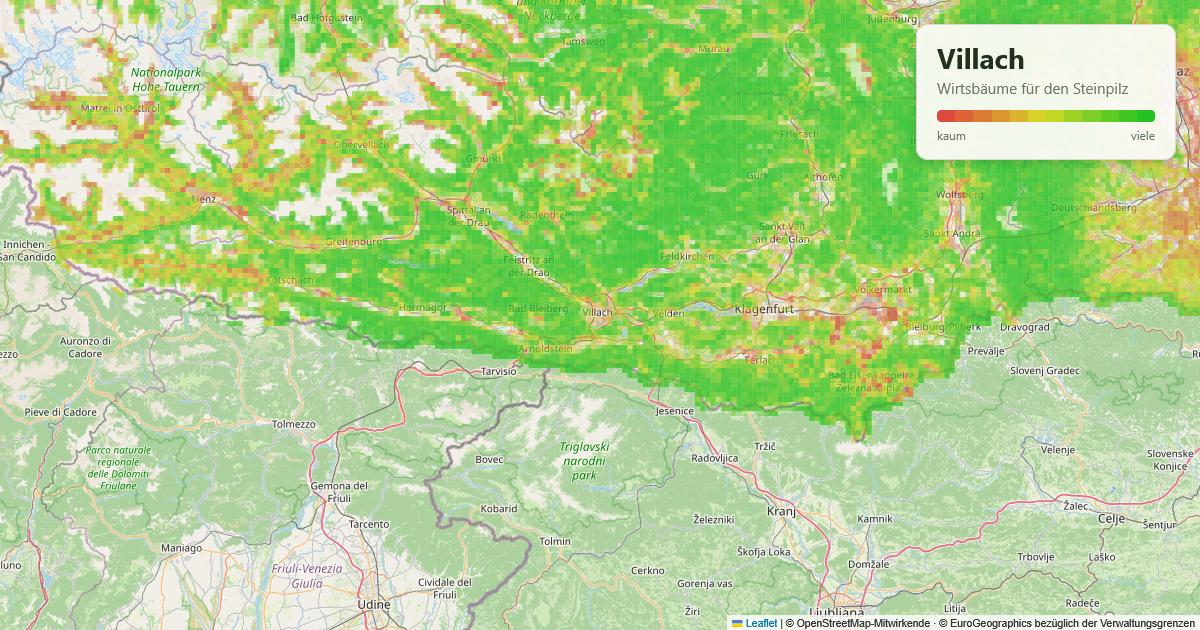 Karte: Wirtsbäume für den Steinpilz rund um Villach