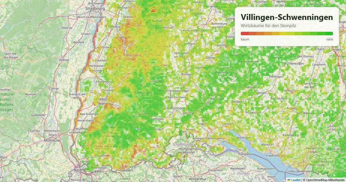 Karte: Wirtsbäume für den Steinpilz rund um Villingen-Schwenningen