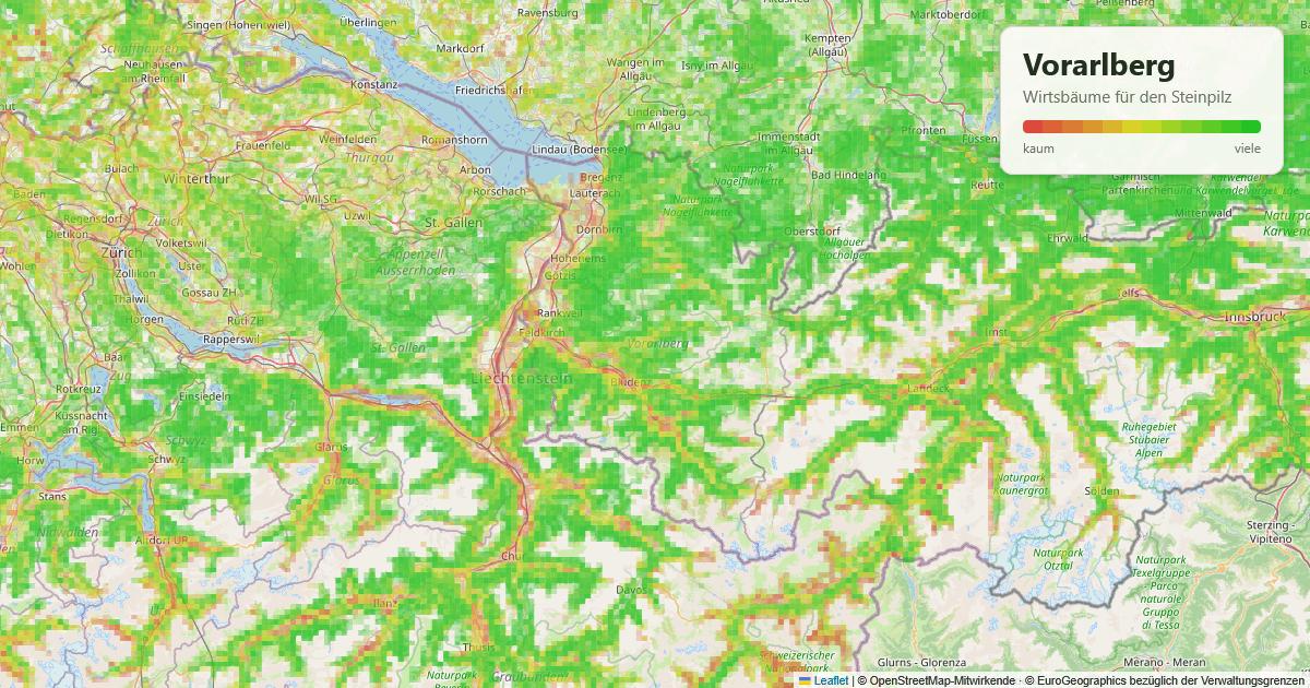 Karte: Wirtsbäume für den Steinpilz in Vorarlberg