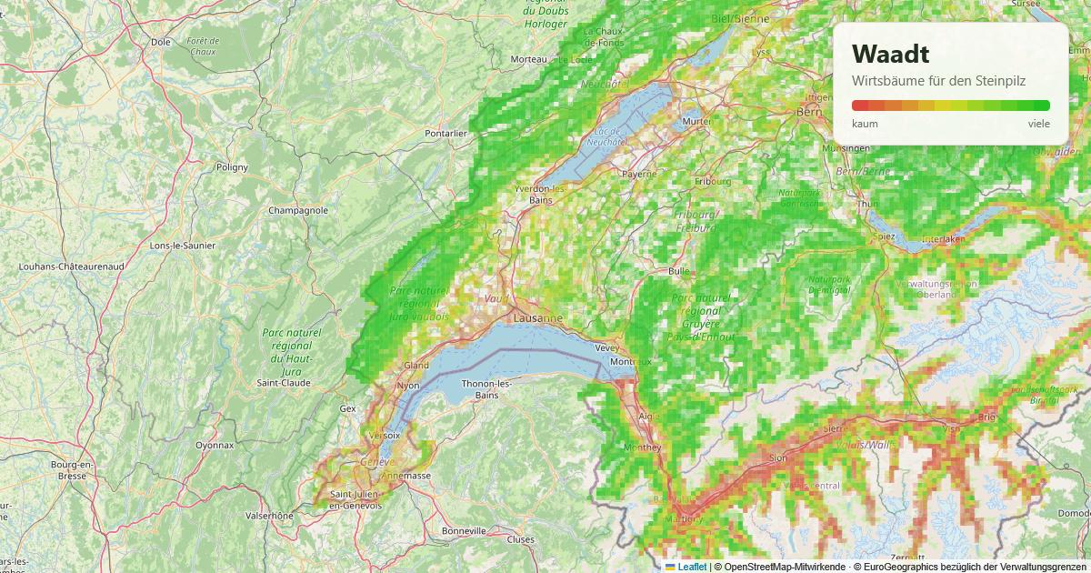 Karte: Wirtsbäume für den Steinpilz in der Waadt