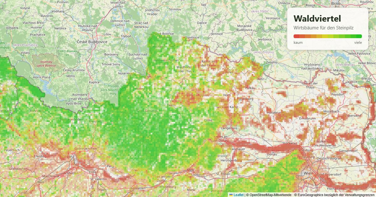 Karte: Wirtsbäume für den Steinpilz im Waldviertel