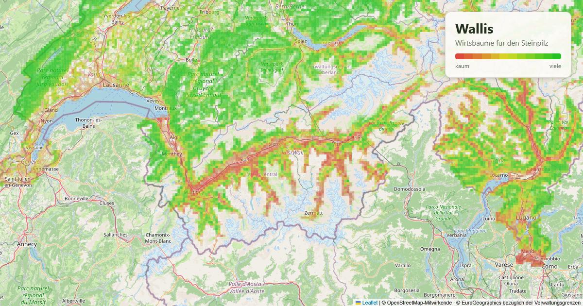 Karte: Wirtsbäume für den Steinpilz im Wallis