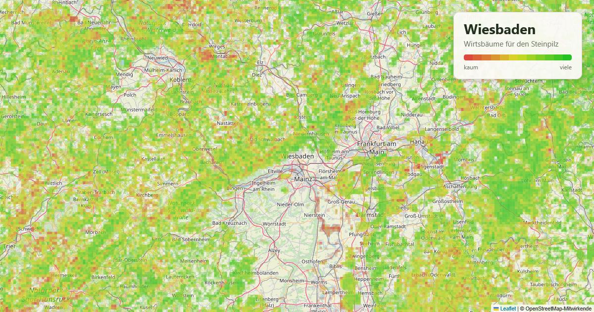 Karte: Wirtsbäume für den Steinpilz rund um Wiesbaden