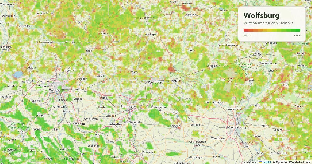 Karte: Wirtsbäume für den Steinpilz rund um Wolfsburg